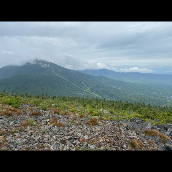 Meet your Posher, Kathryn - Picture 3 of 6